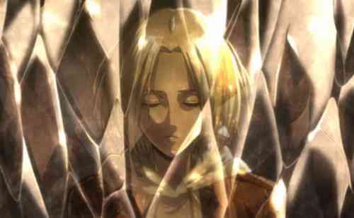 硬質化したアニ