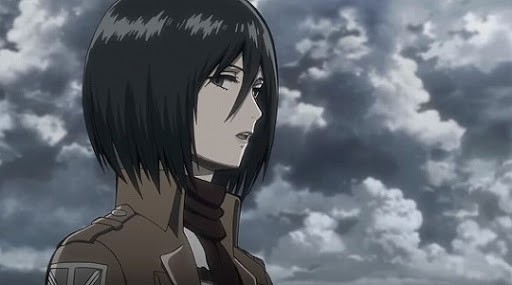 ミステリアスなミカサ