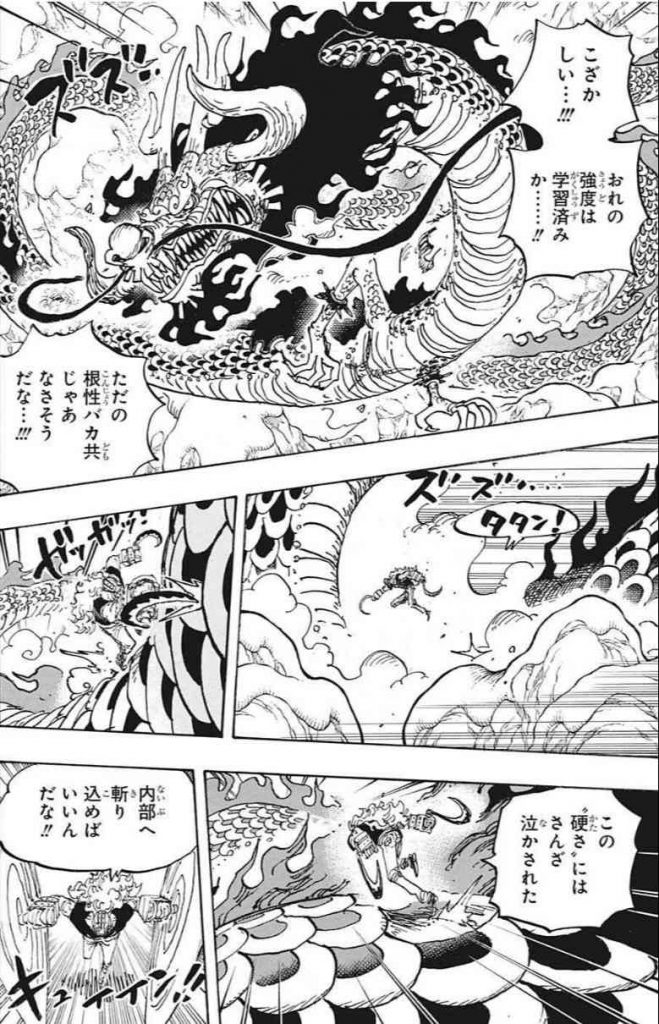 ワンピース 1002話のネタバレ 考察 ゾロの閻魔にカイドウもビビる アニメンタリズム